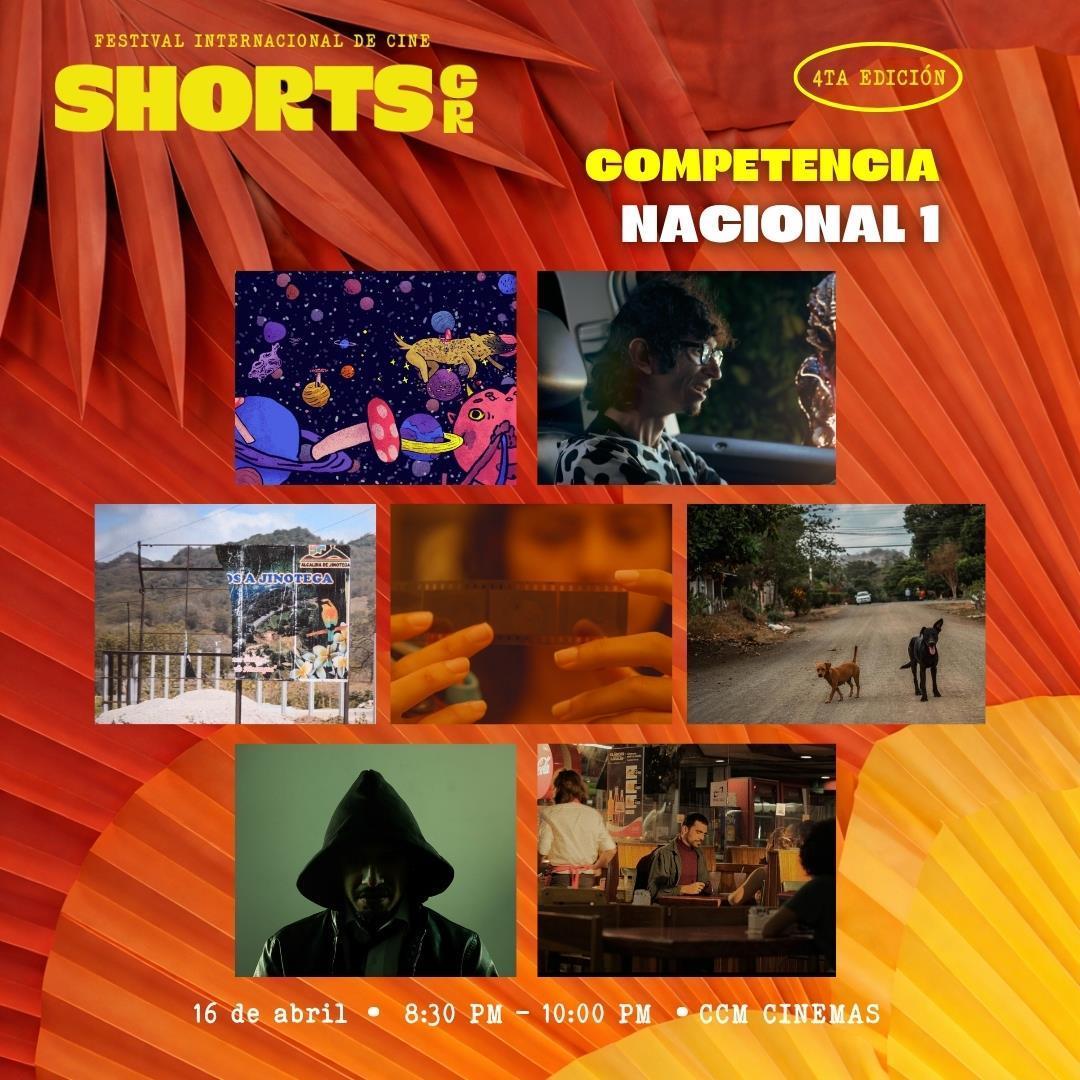 Competencia Nacional - Función 1