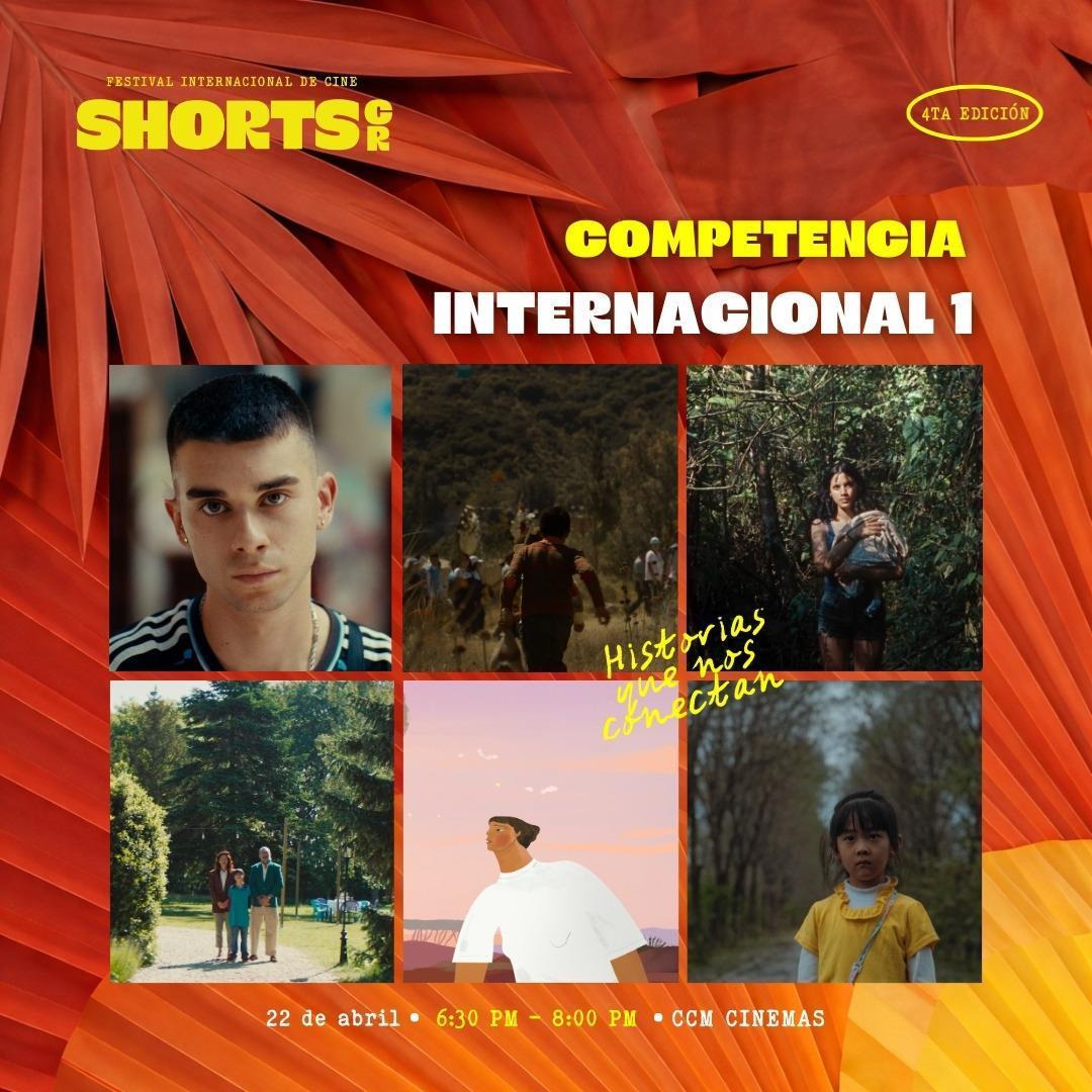 Competencia Internacional - Función 1