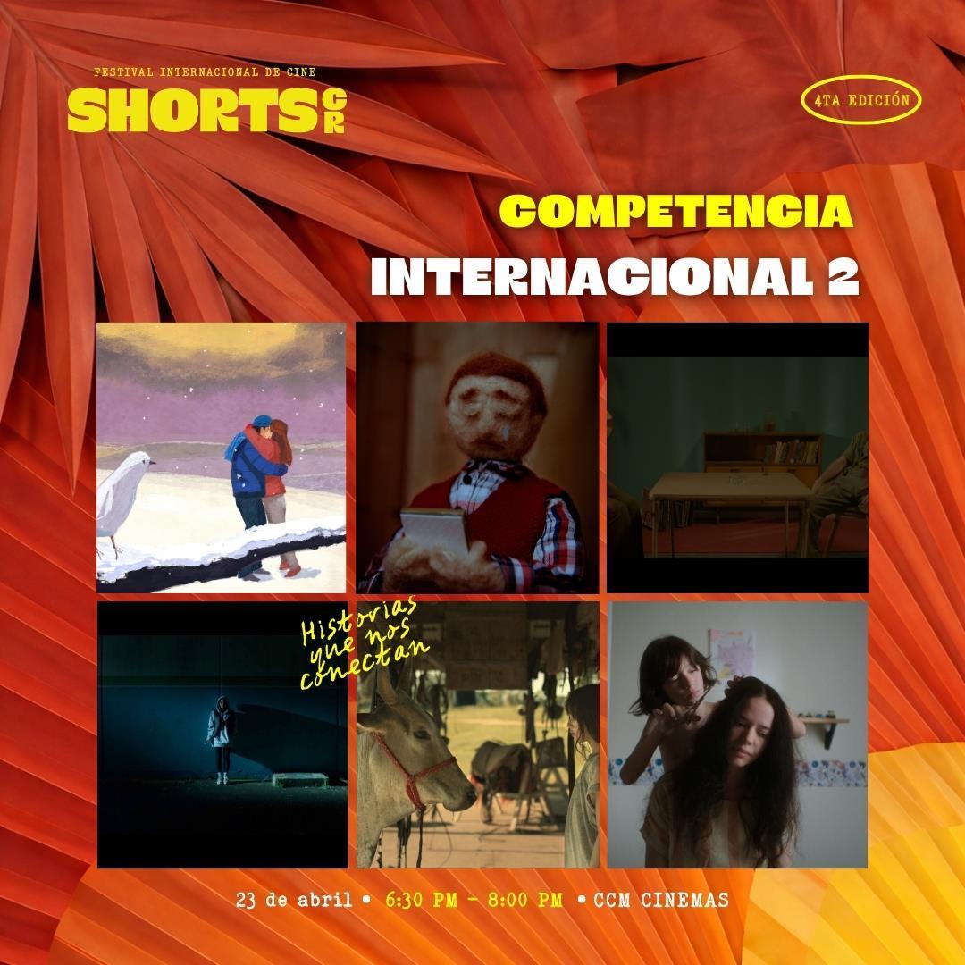 Competencia Internacional - Función 2