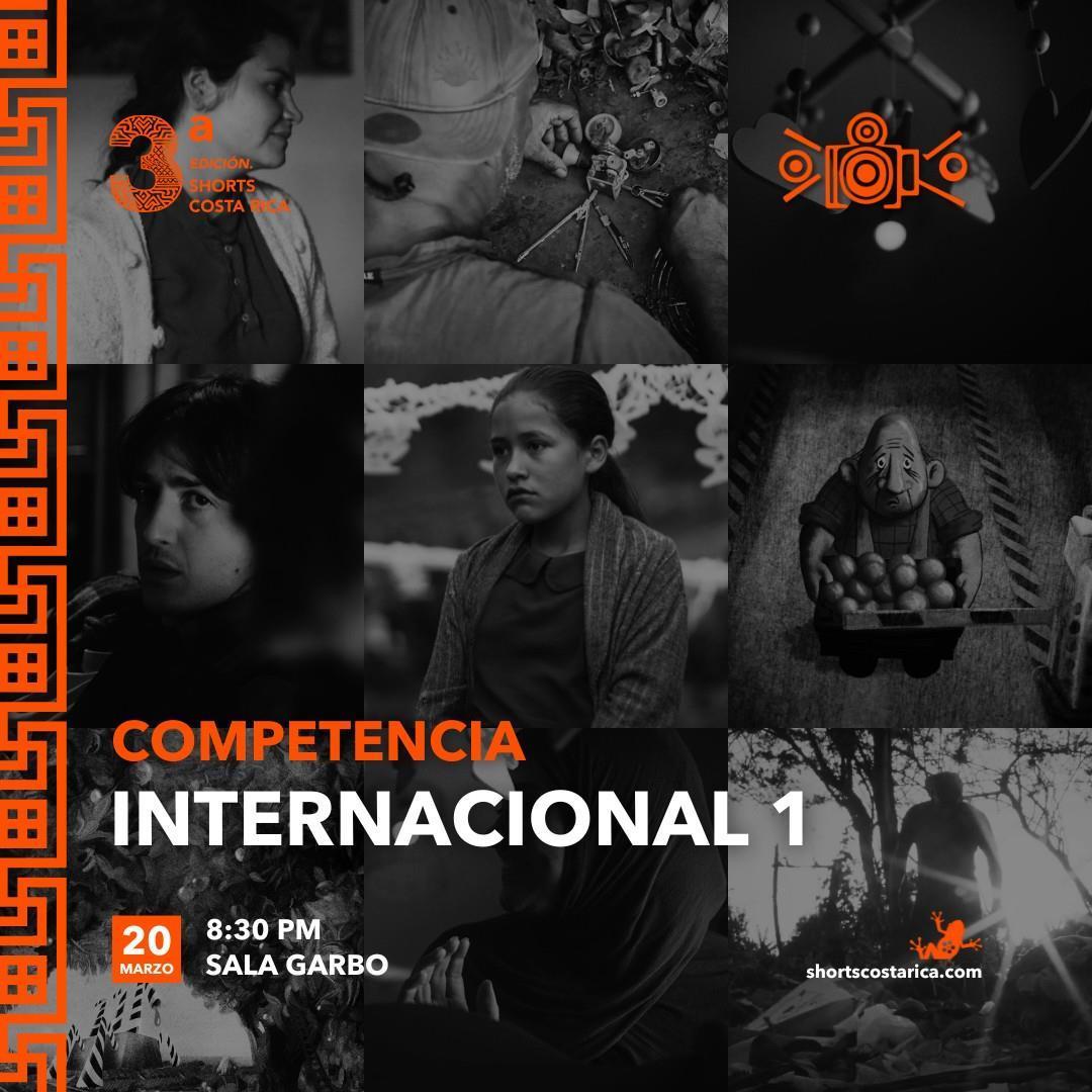 Competencia Internacional - Función 1